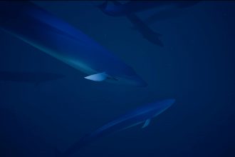 ABZÛ